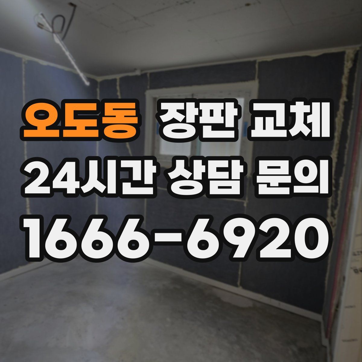 오도동 장판 교체