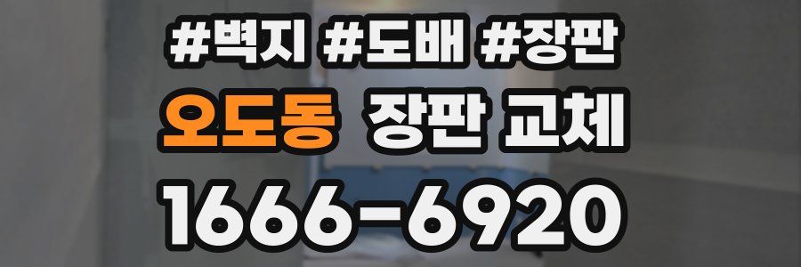 오도동 장판 교체