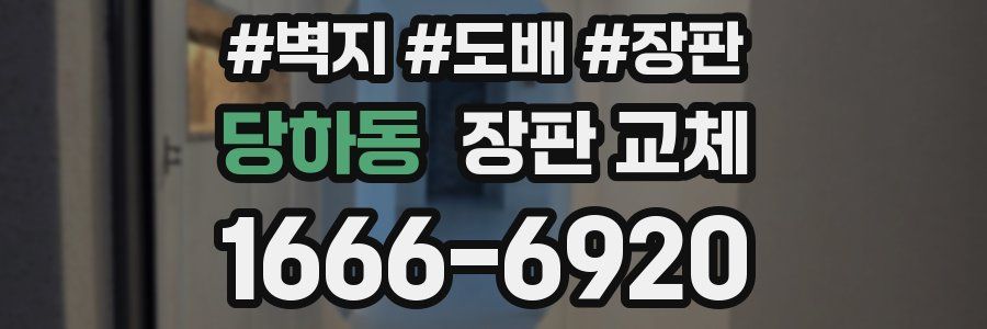 당하동 장판 교체