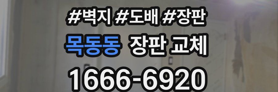 목동동 장판 교체