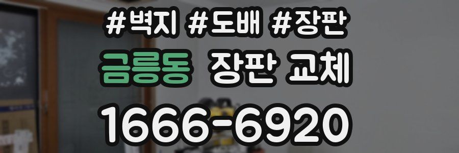 금릉동 장판 교체