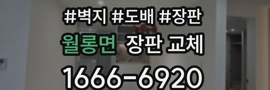 월롱면 장판 교체
