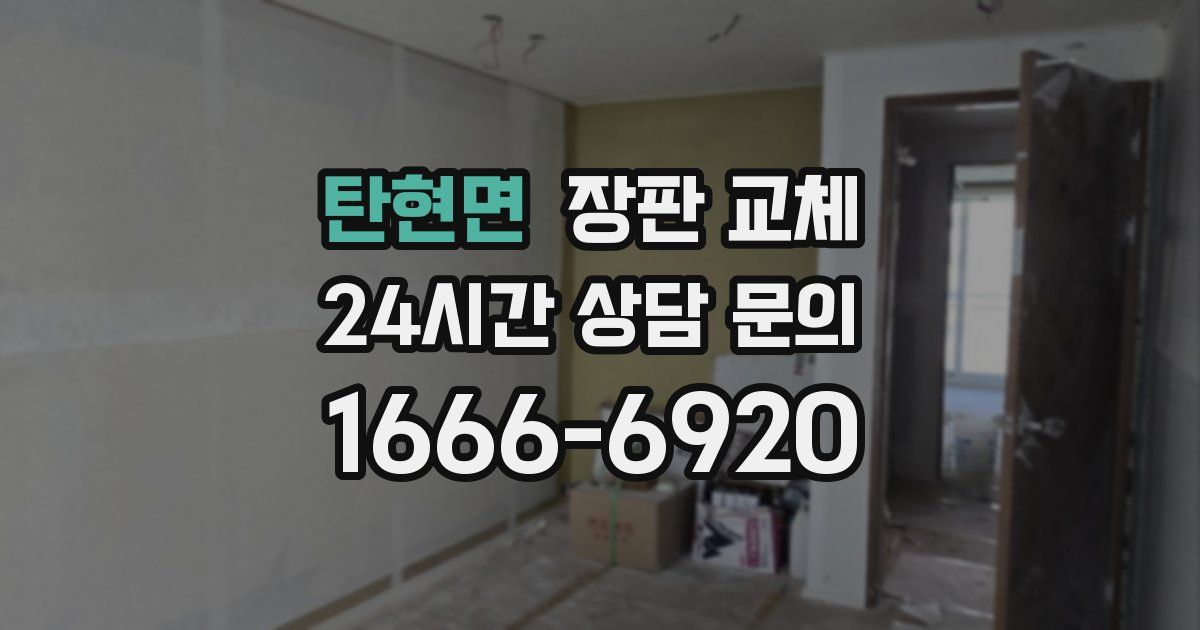 탄현면 장판 교체