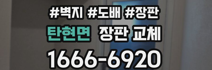 탄현면 장판 교체