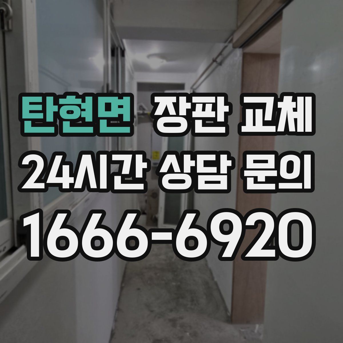 탄현면 장판 교체
