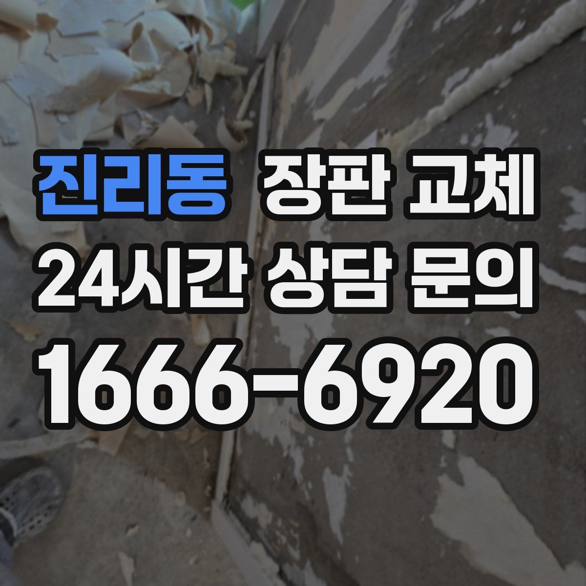 진리동 장판 교체