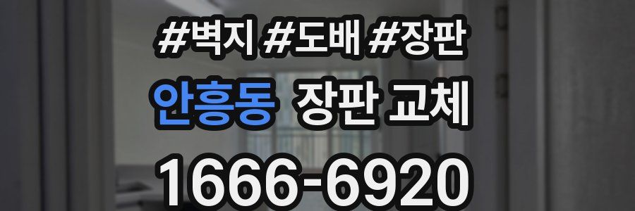 안흥동 장판 교체