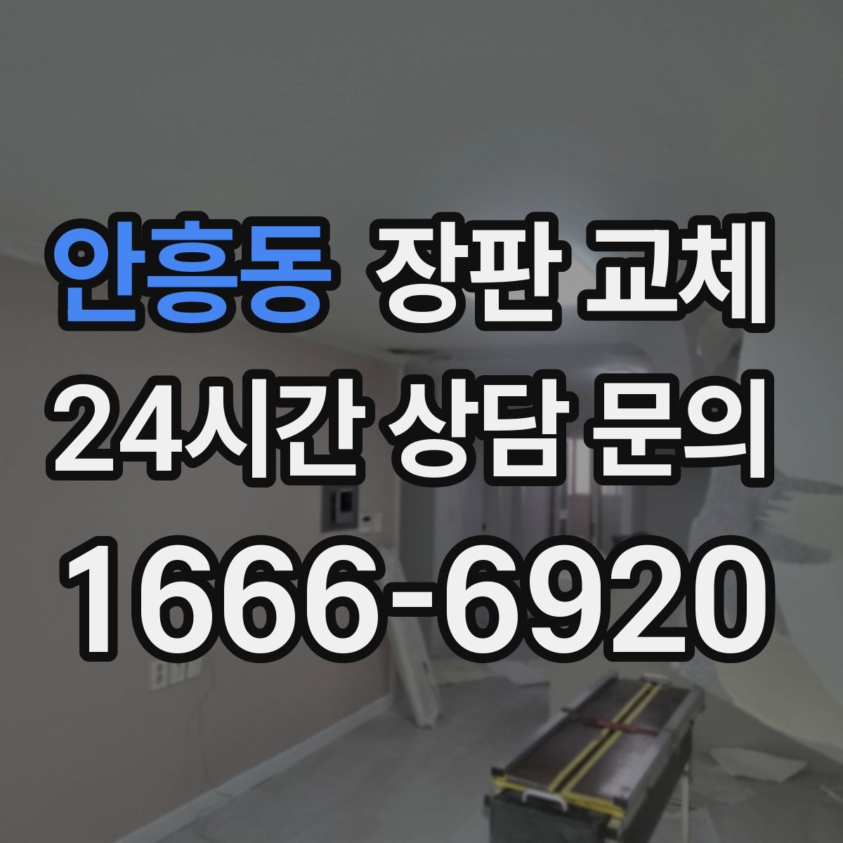 안흥동 장판 교체