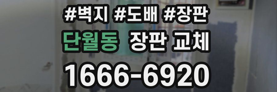 단월동 장판 교체
