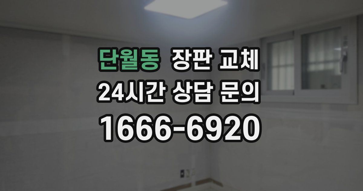 단월동 장판 교체