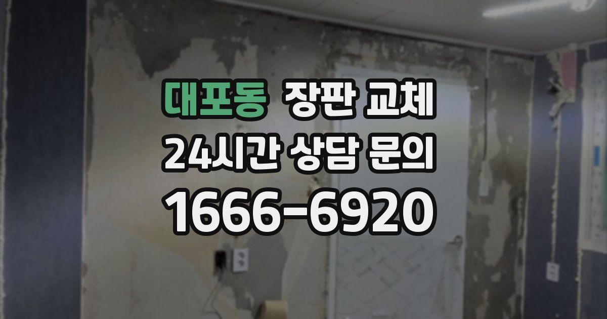 대포동 장판 교체