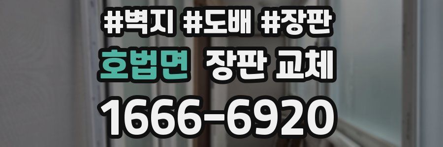 호법면 장판 교체
