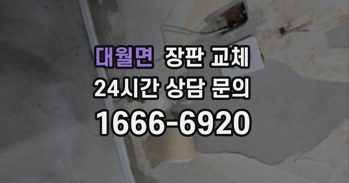 대월면 장판 교체