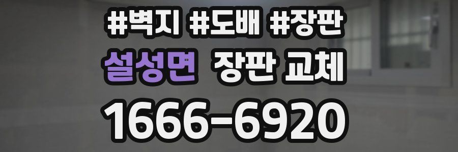 설성면 장판 교체