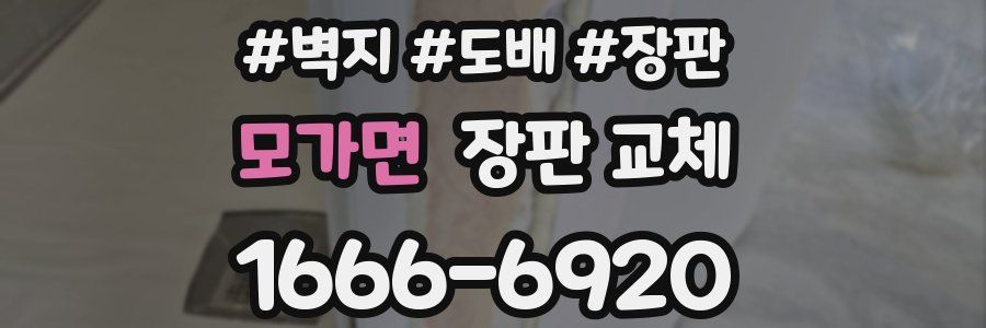모가면 장판 교체