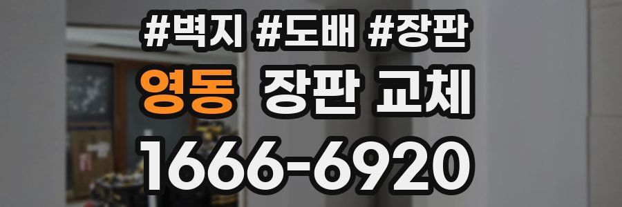 영동 장판 교체