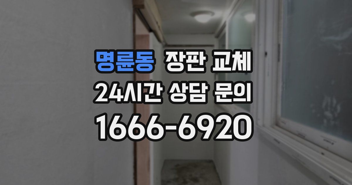명륜동 장판 교체