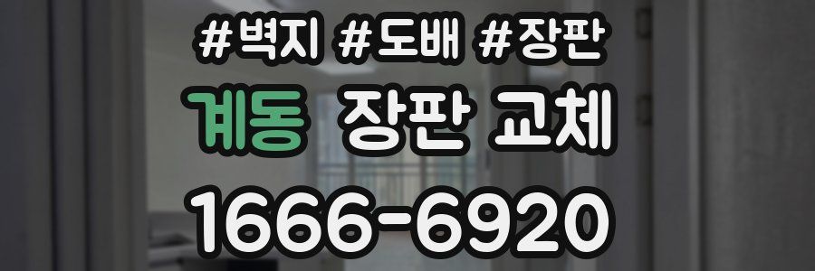 계동 장판 교체