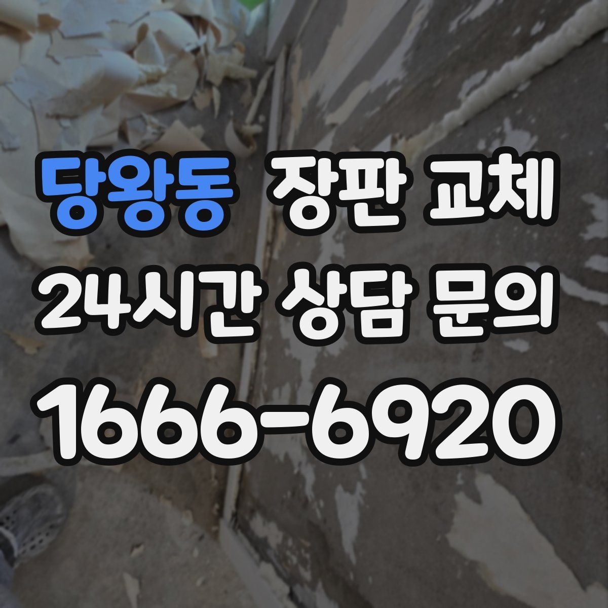 당왕동 장판 교체