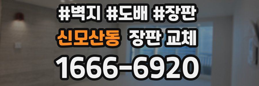 신모산동 장판 교체
