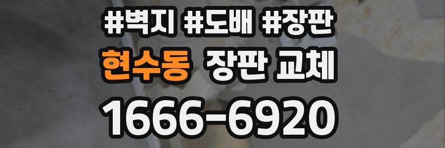 현수동 장판 교체