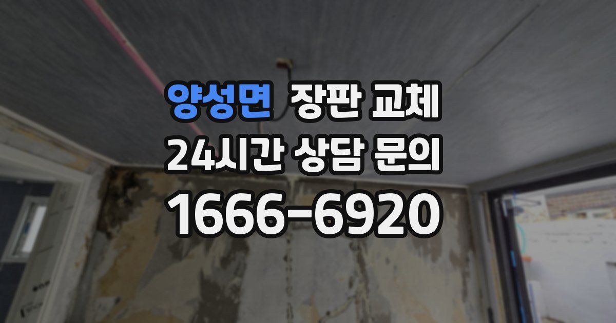 양성면 장판 교체