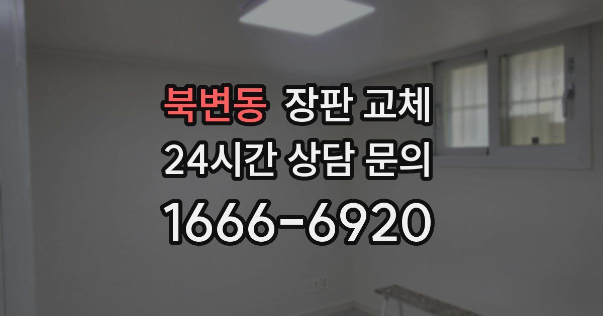 북변동 장판 교체
