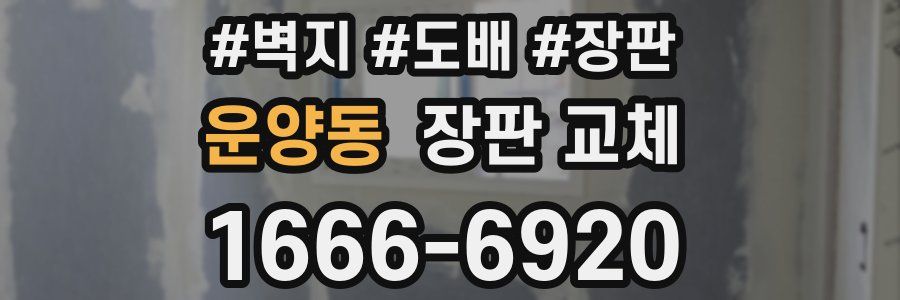 운양동 장판 교체