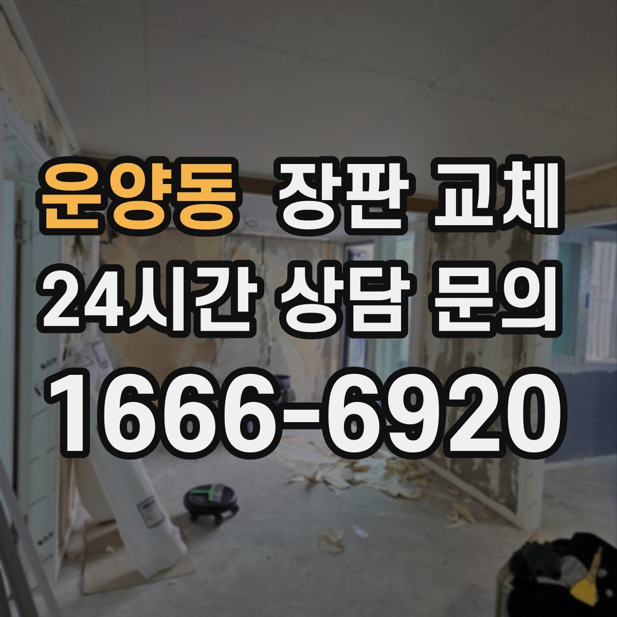 운양동 장판 교체