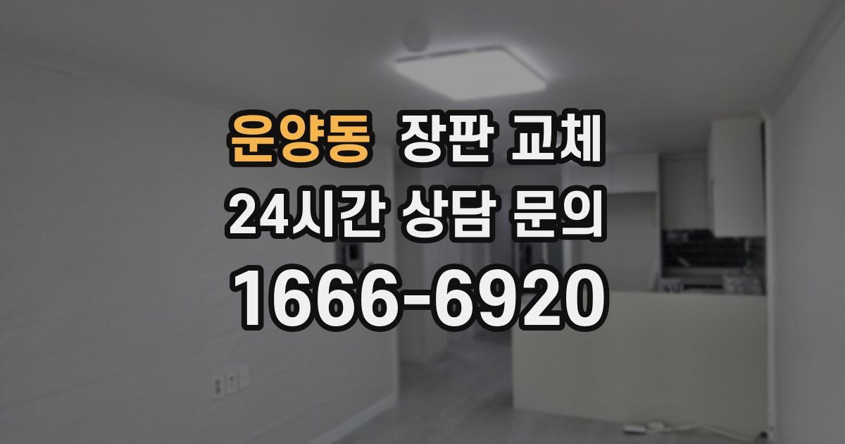 운양동 장판 교체