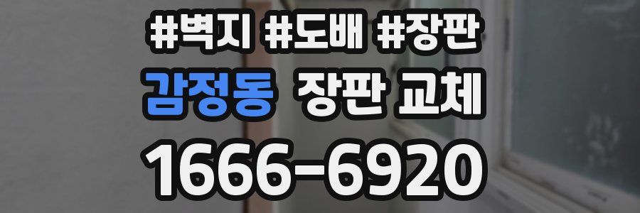 감정동 장판 교체