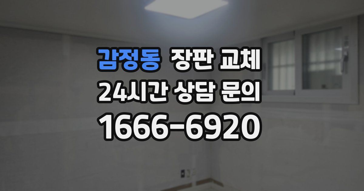 감정동 장판 교체