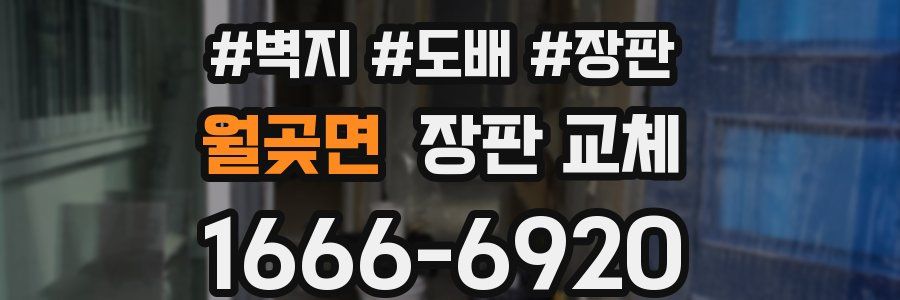 월곶면 장판 교체