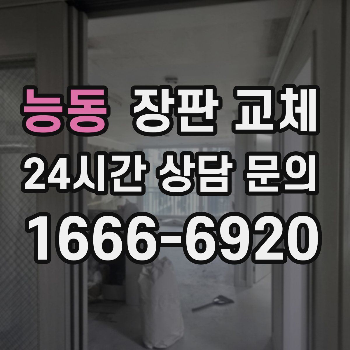 능동 장판 교체