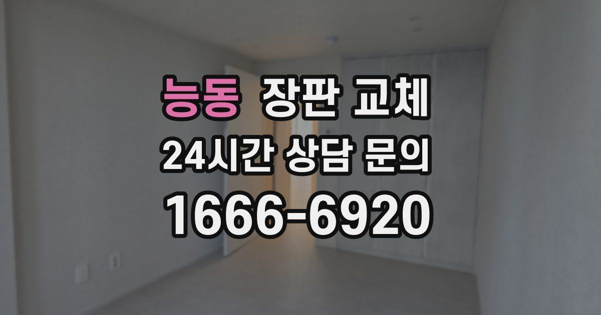 능동 장판 교체