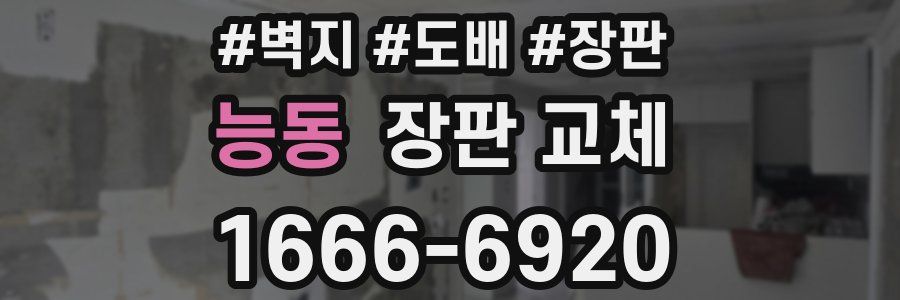 능동 장판 교체