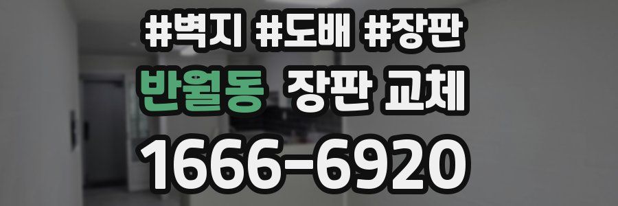 반월동 장판 교체