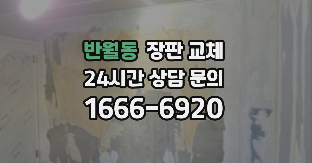 반월동 장판 교체