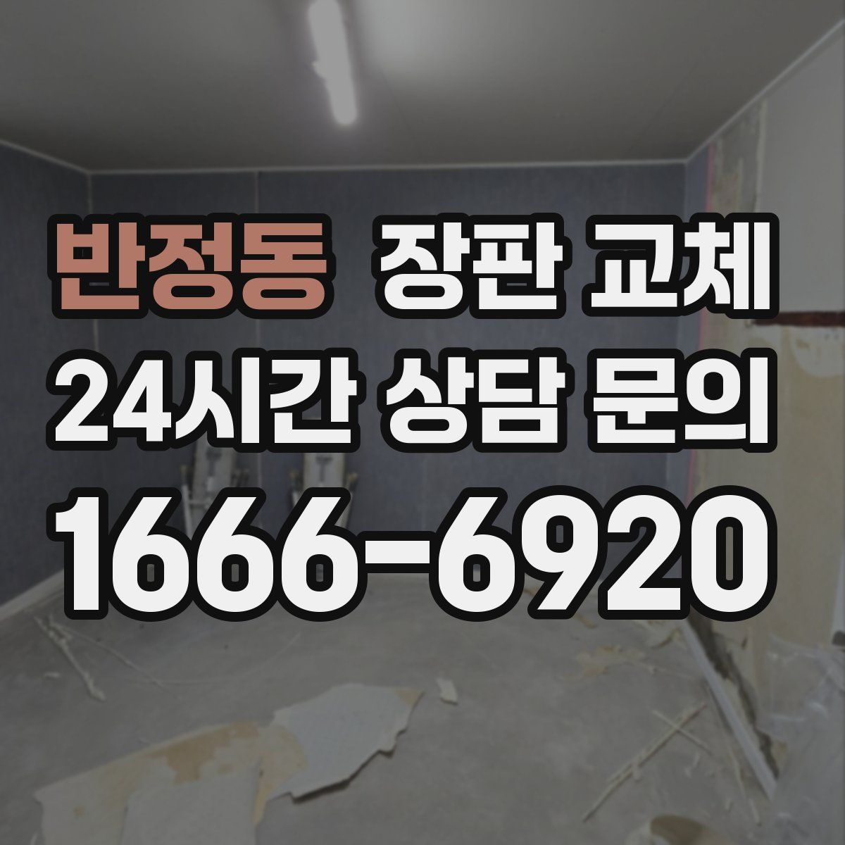 반정동 장판 교체