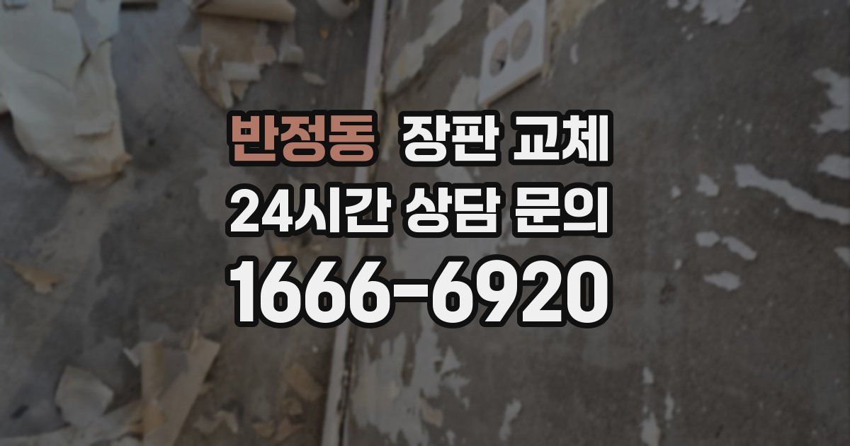 반정동 장판 교체