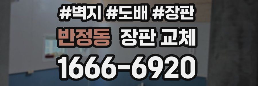 반정동 장판 교체