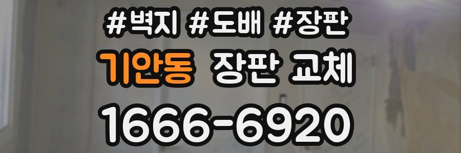 기안동 장판 교체