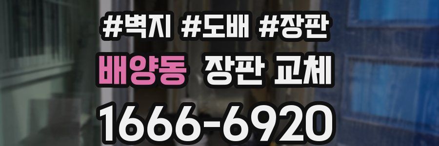 배양동 장판 교체