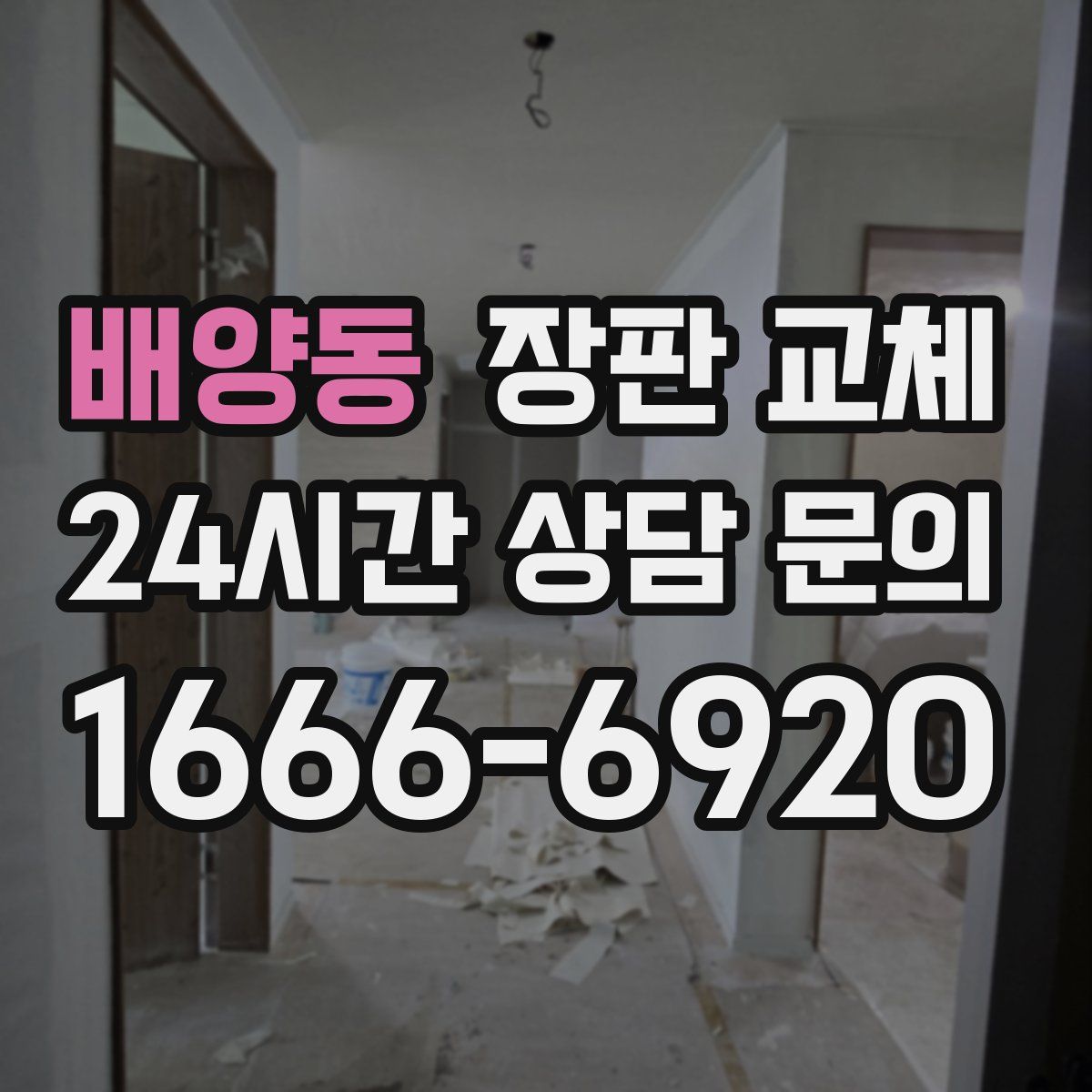 배양동 장판 교체