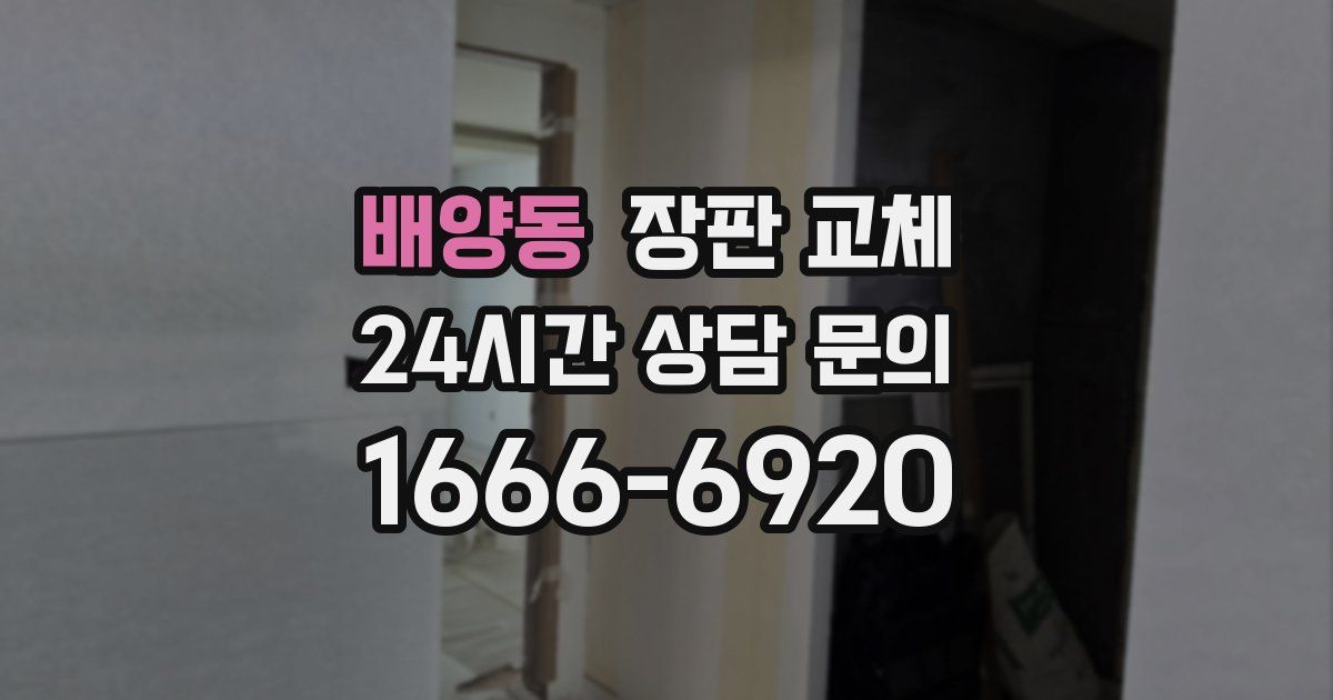 배양동 장판 교체