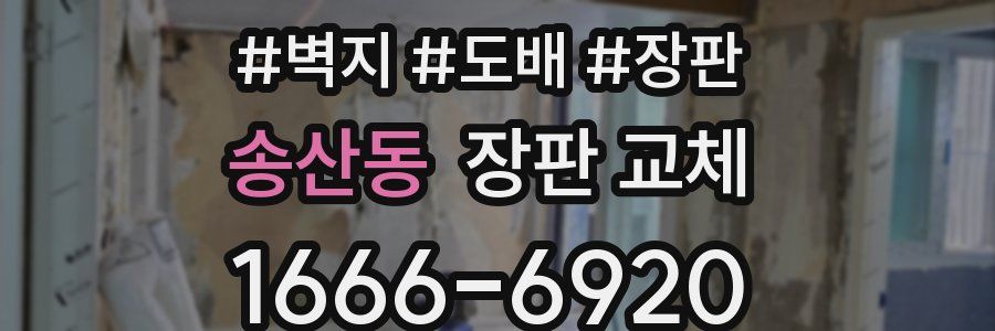 송산동 장판 교체