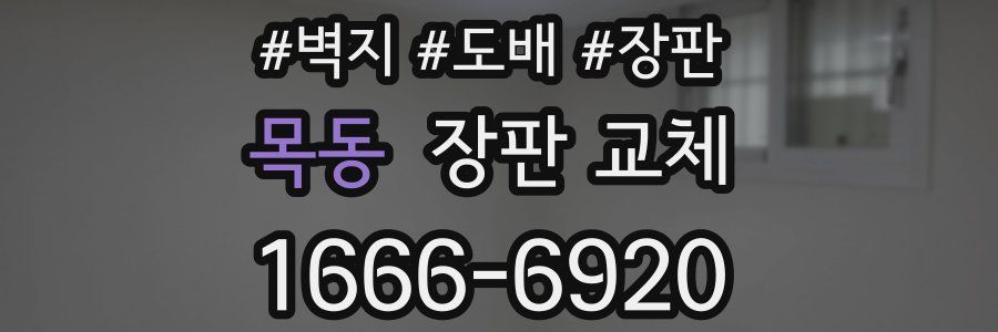 목동 장판 교체