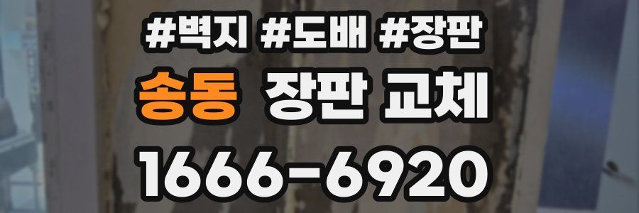 송동 장판 교체