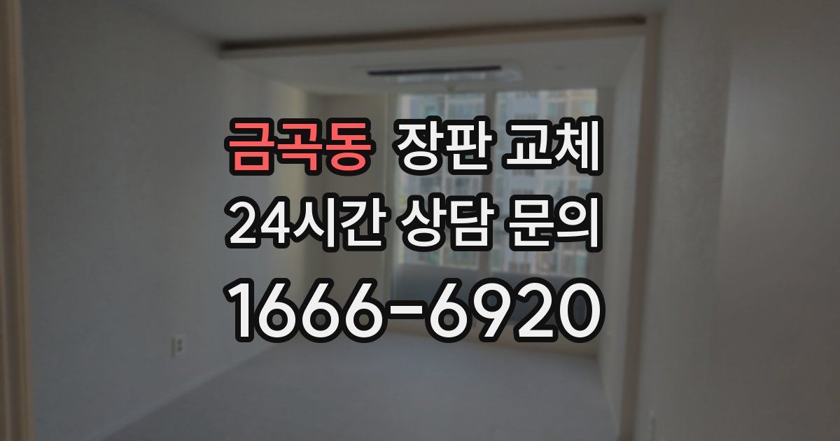 금곡동 장판 교체