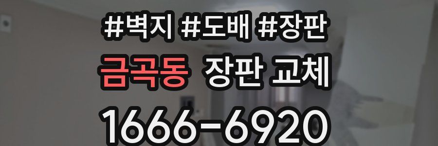 금곡동 장판 교체